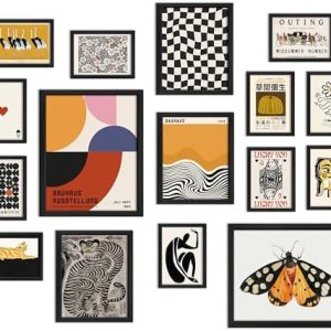 ANERZA 16 PCS Framed Eclectic Wall Art Decor, Modern Maximalist Wall Prints for Bedroom, Vintage Gallery Wall Frame Set, Bauhaus Funky Posters for Home Decor, Retro Abstract Dorm Collage Kit